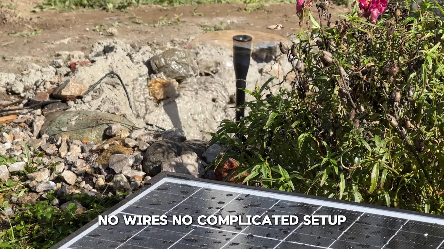 Multifunctional Use of Solar Water Pumps: From Bird Baths to Irrigation