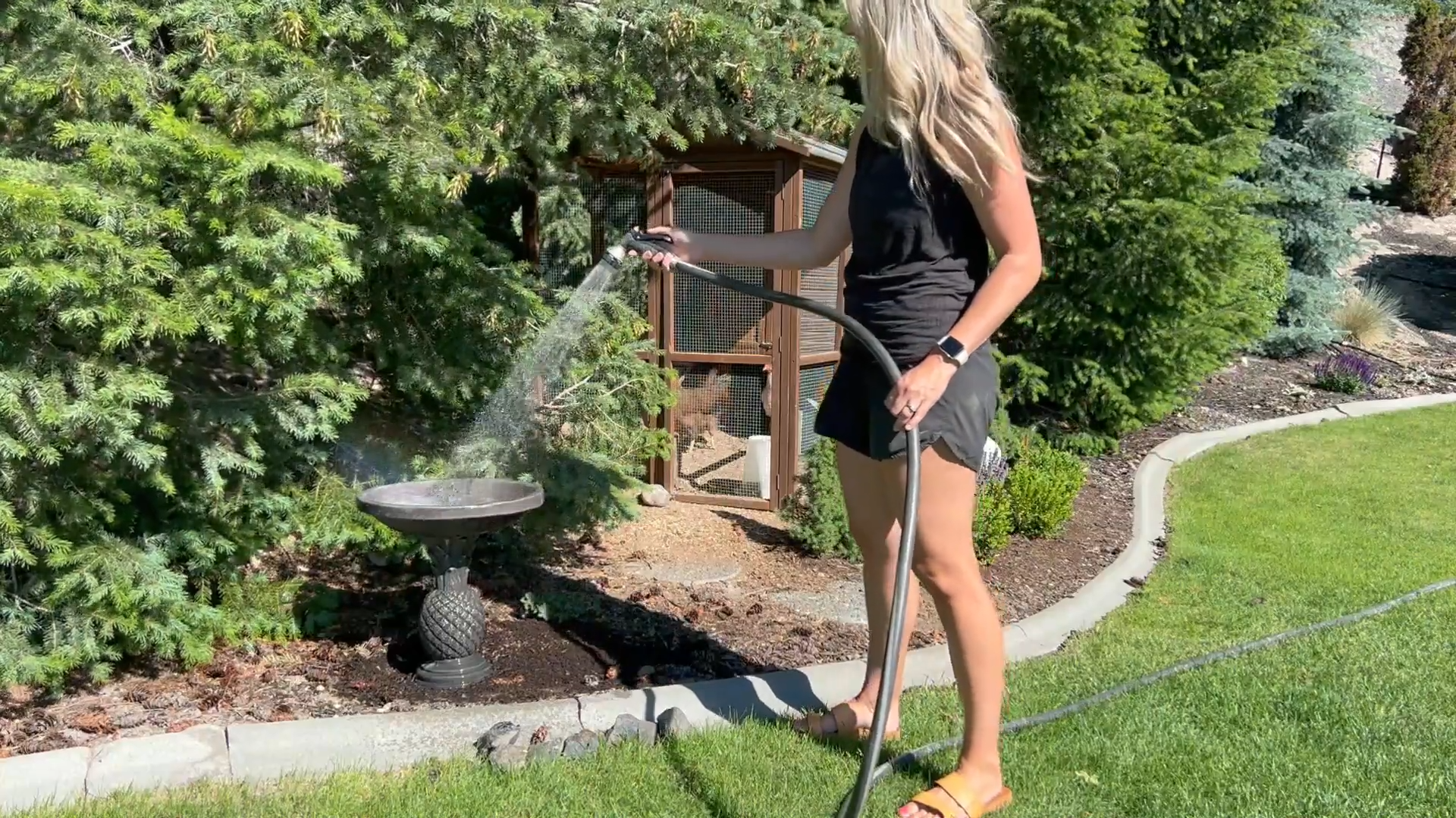 Small Garden Waterscape Design Application and Creativity of Poposoap Solar Energy Water Pump