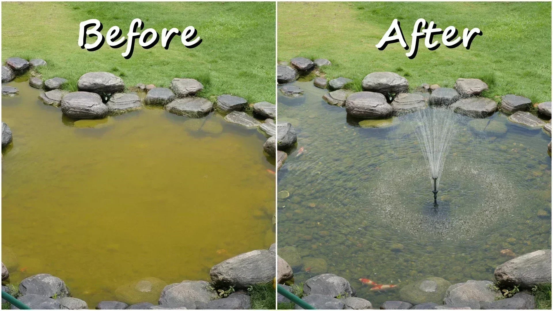3 Days To Witness The Miracle: How I Used Poposoap To Make My Backyard Pond Look Brand New