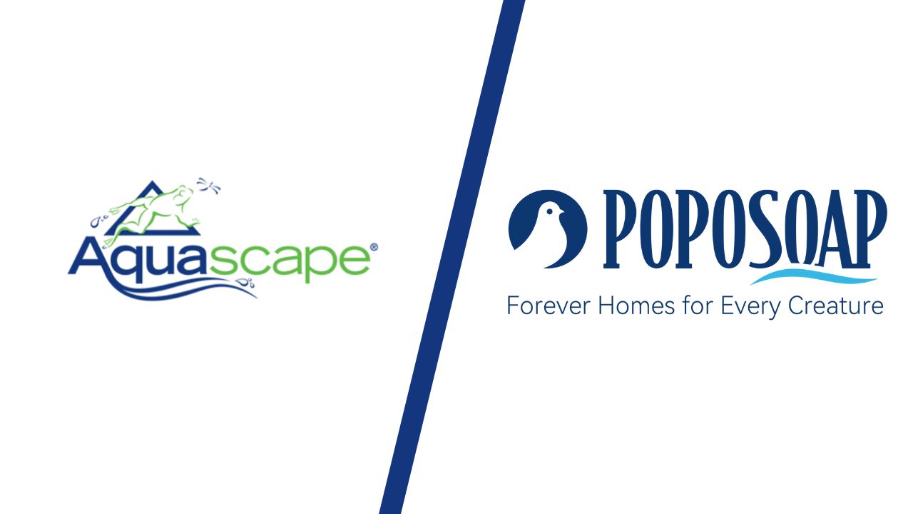 Aquascape vs. Poposoap: Why Poposoap Are the Future of Pond Design