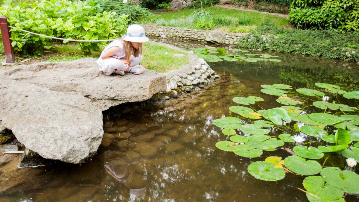 Natural Pond Without Liner | DIY No Liner Pond Building Guide