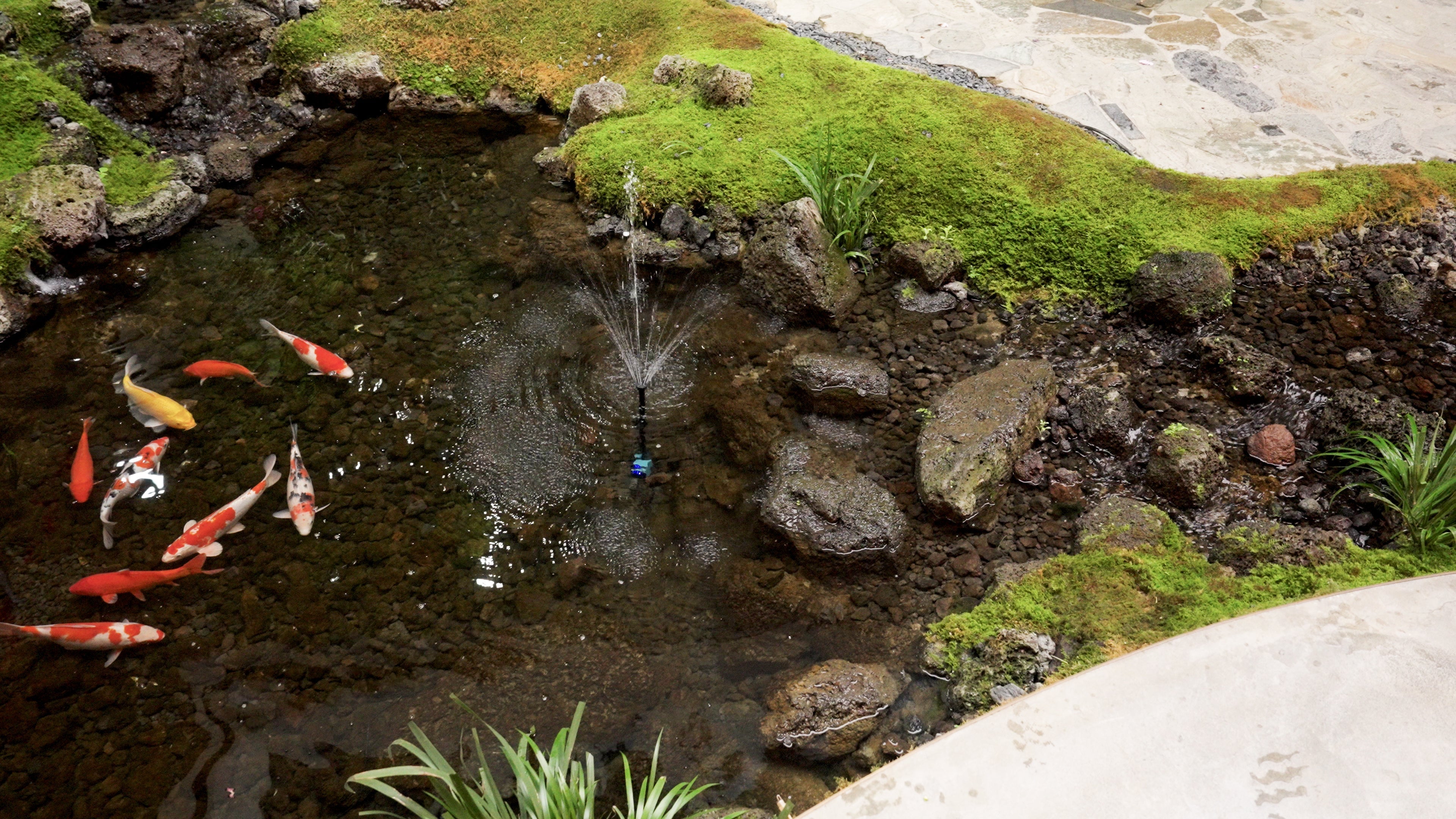 Poposoap Solar Garden Water Pump: A New Choice for Green and Efficient Garden Irrigation