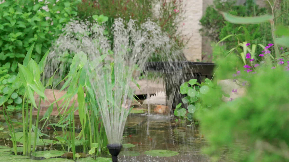 Fountain Features That Kids Love