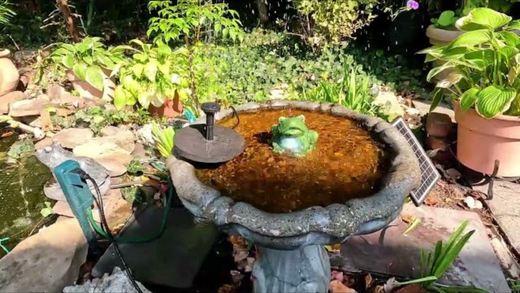 Front Yard Water Features: Boost Your Curb Appeal