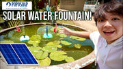 Harness the Sun: Benefits of POPOSOAP Solar Water Fountains