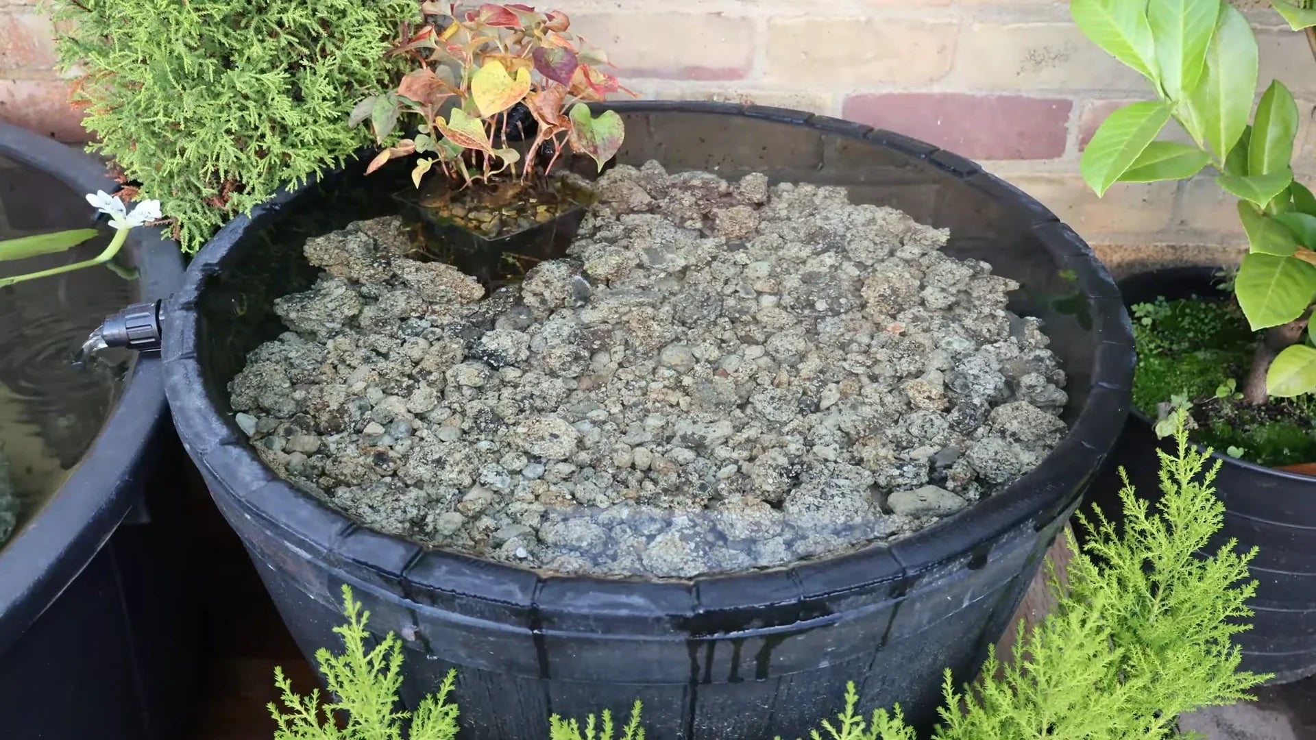 Do it Yourself Pond Filter: Homemade Whiskey Barrel Pond Filter