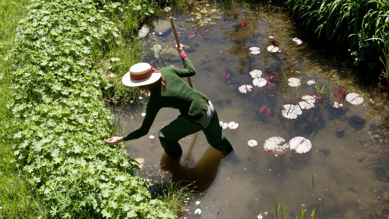 How to Keep a Pond Clean & Reduce Maintenance Time