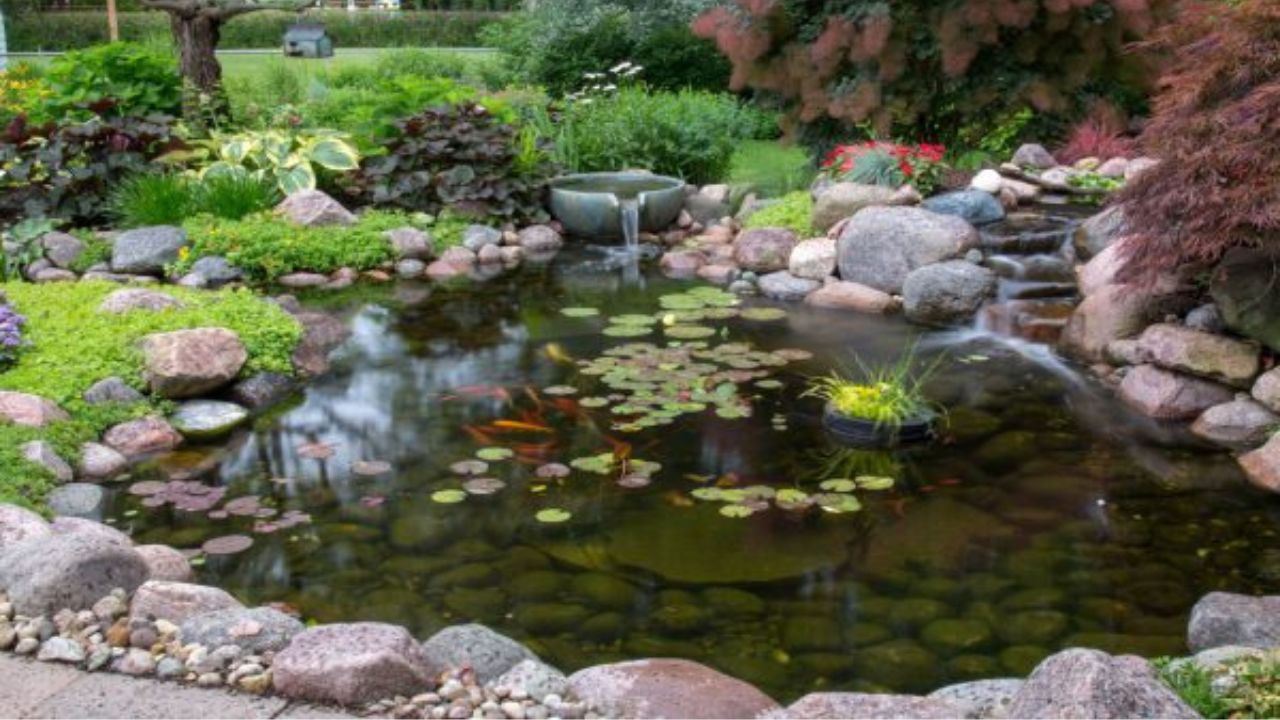 How Much Does It Cost to Build a Pond? A Budget-Friendly Guide