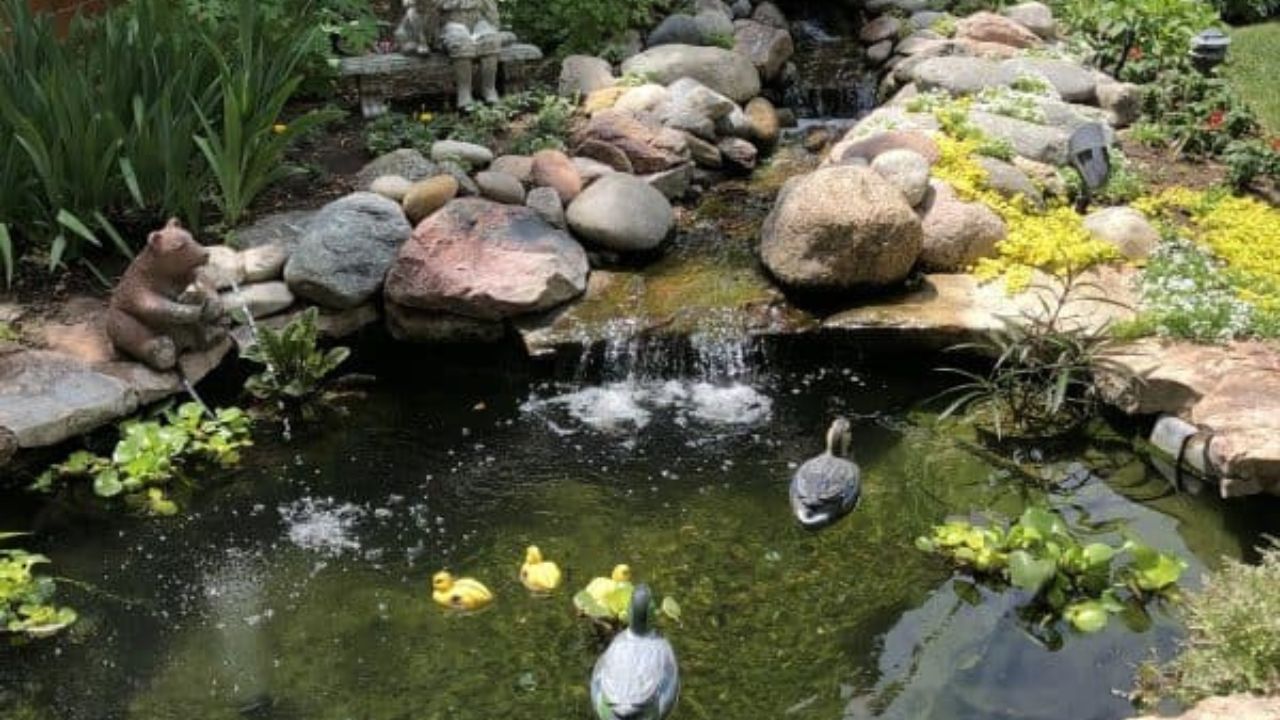 A Beginner's Guide to Pond Digging: Turn Your Yard into a Beautiful Oasis