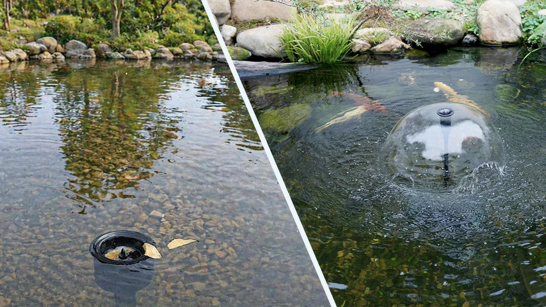 Pond Skimmer vs Filter