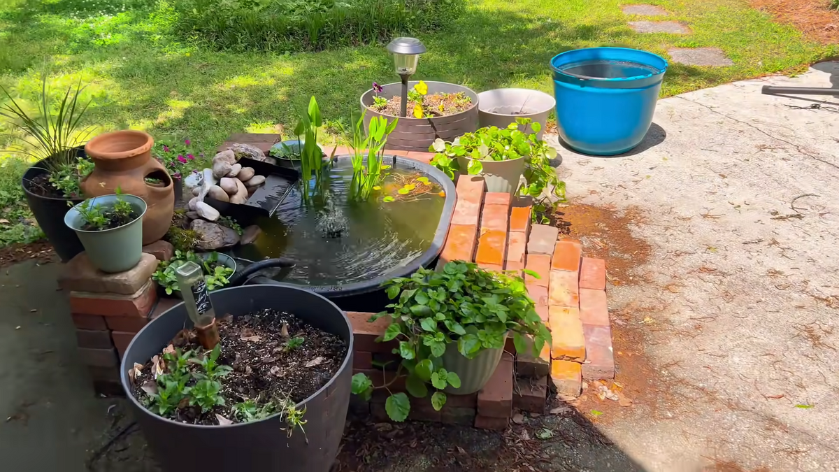 Photo inspiration: Picture Idea: Ultimate Guide To Pond Goldfish Care Create An Ideal Home