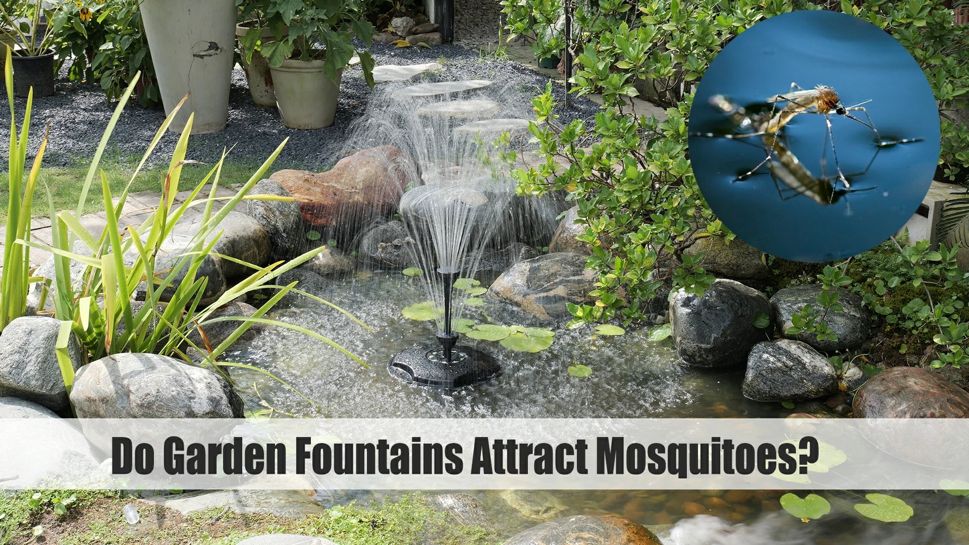 do fountains attract mosquitoes