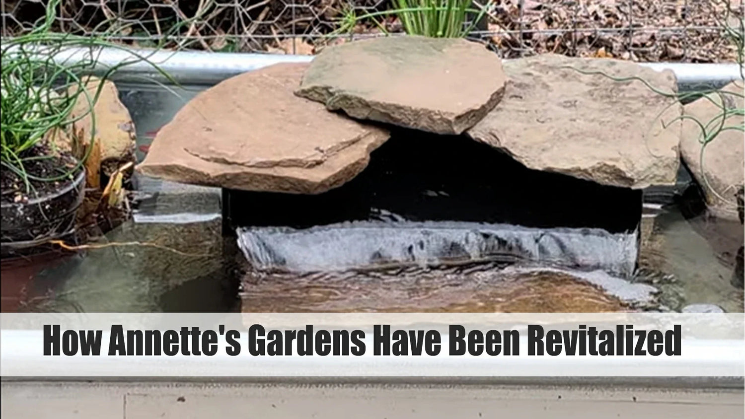 how annette gardens have been revitalized