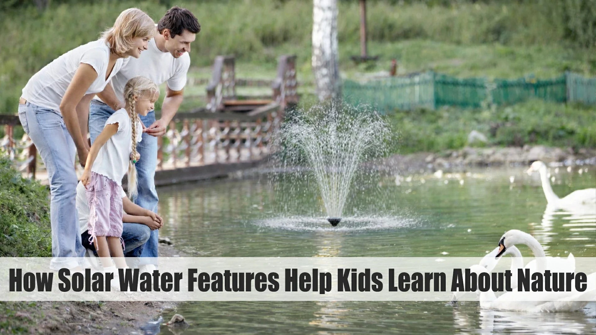 interactive resources for kids to learn about nature