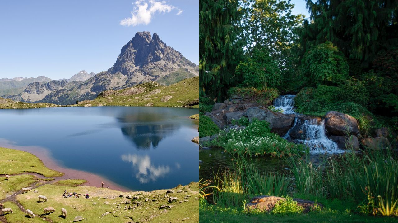 Lake vs. Pond: Understanding the Differences and Their Unique Features
