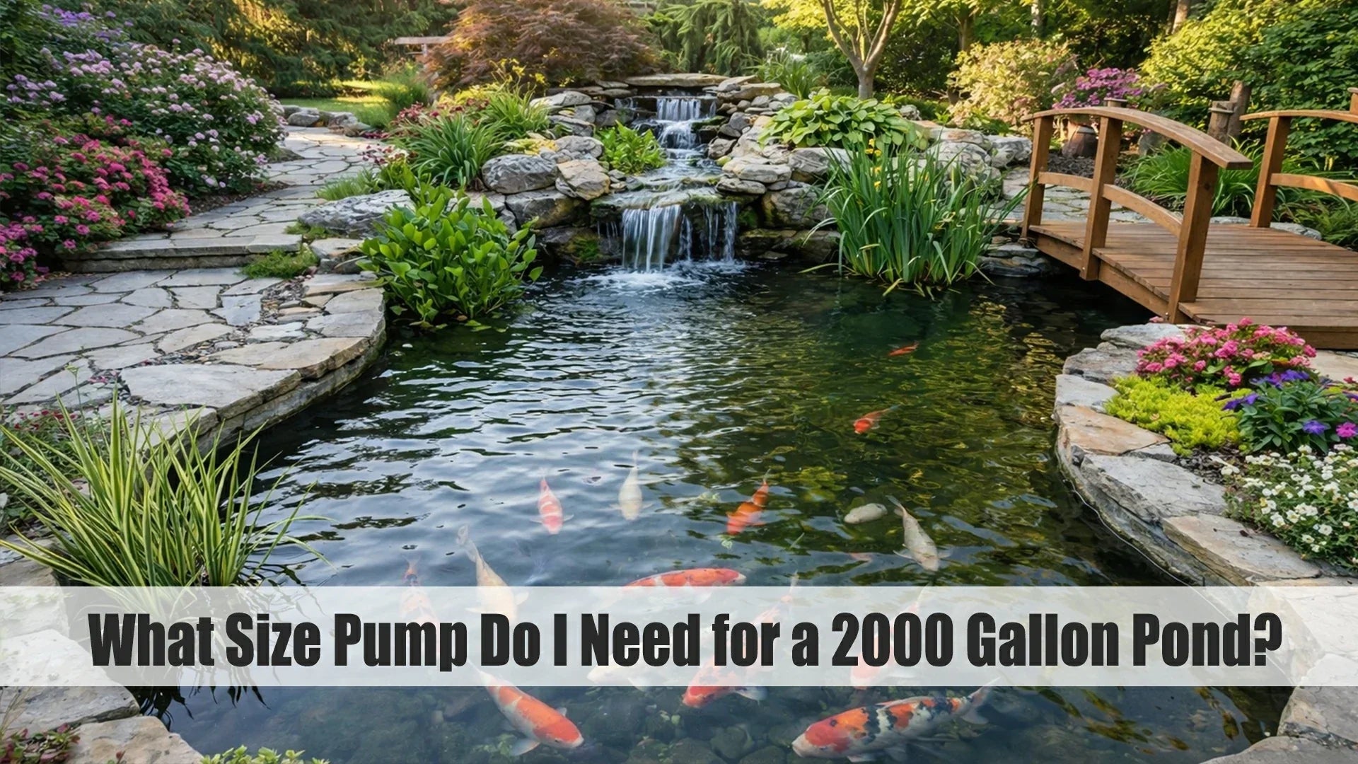 what size pump do I need for a 2000 gallon pond