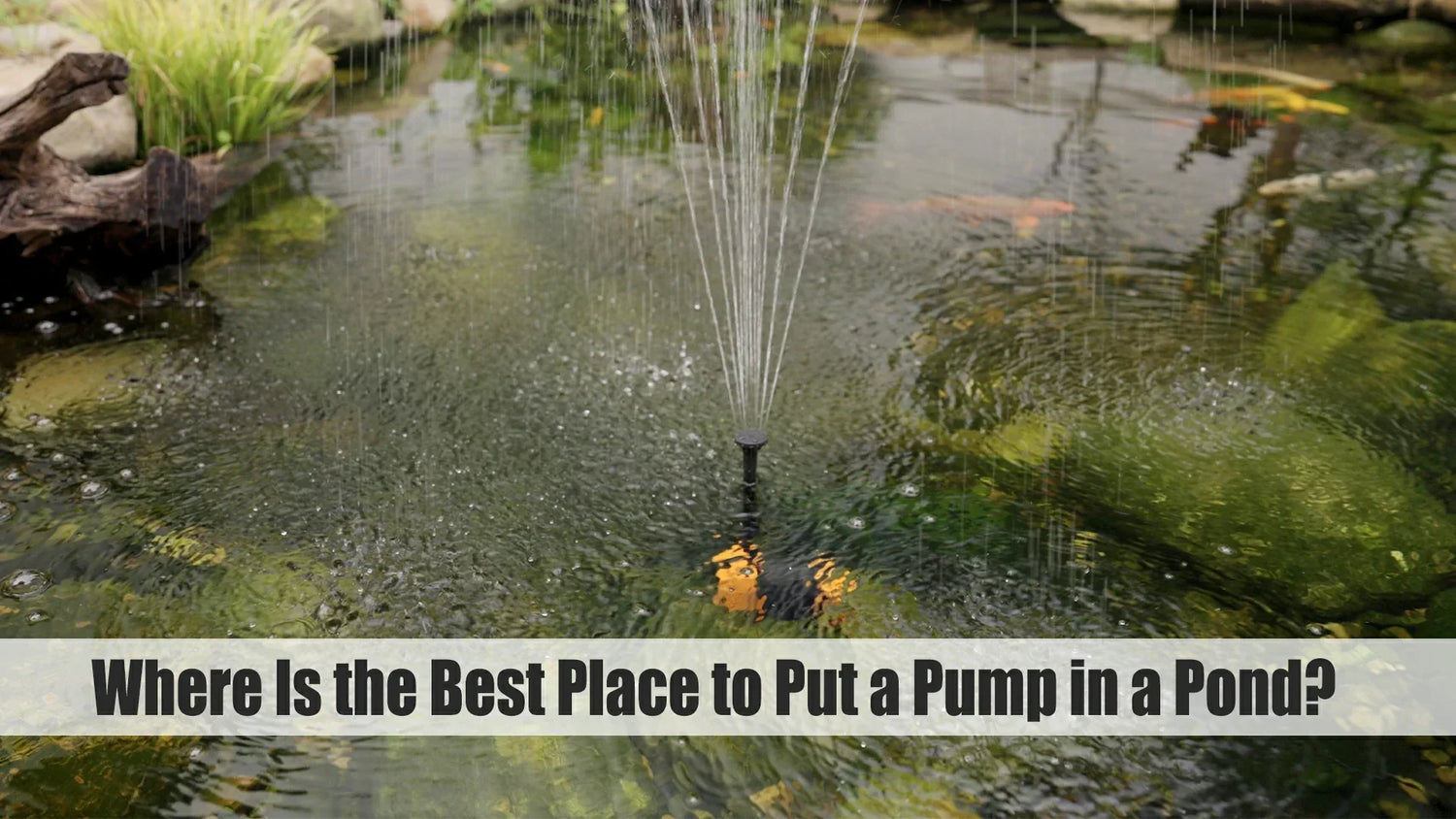 where is the best place to put a pond pump