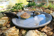 Set up small bird baths and driftwood for birds to rest on.