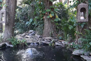 Reserve undisturbed corners for animals to inhabit.