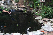 Check whether the water pump and filter are clogged every month.