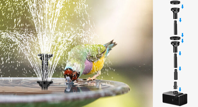 Solar Fountain Pump for Bird Bath
