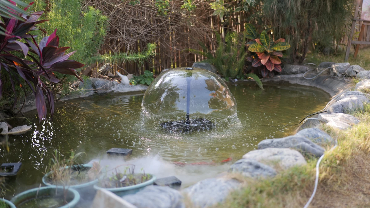 A_garden_pond_lives_inside_a_mini_water_cycle