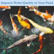 15W Solar Pond Aerator with 4400mAh Battery