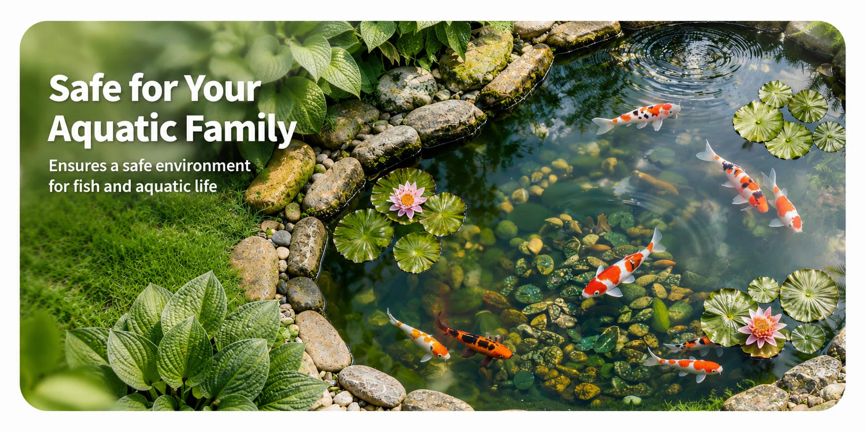 pond preformed safe for aquatic