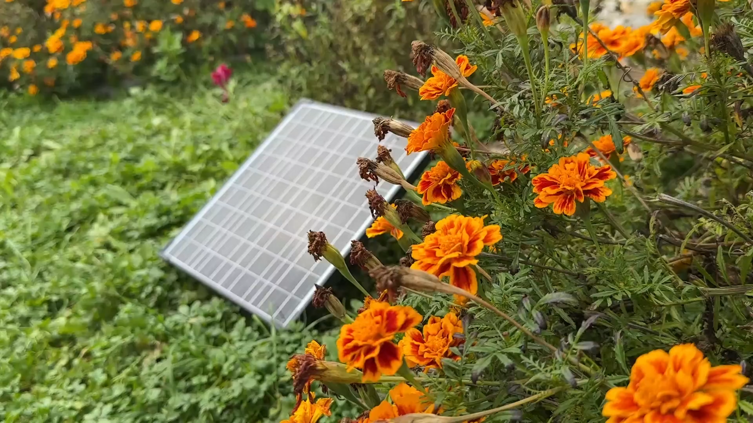 Solar Water Pump Common Faults and Solutions