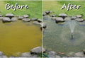 3 Days To Witness The Miracle: How I Used Poposoap To Make My Backyard Pond Look Brand New