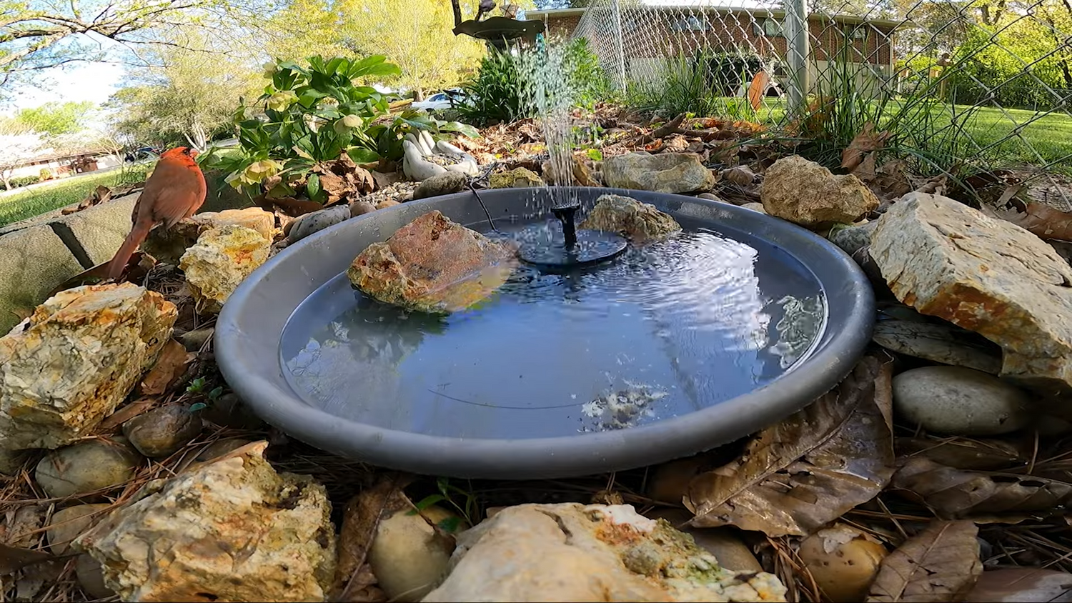 Adding a Solar Fountain to My In-ground Bird Bath