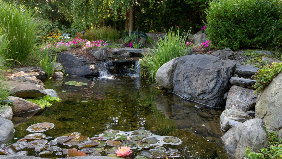 Stream Pool Size Rules for Building a Pond Stream: Dimensions, Depth & Flow Tips