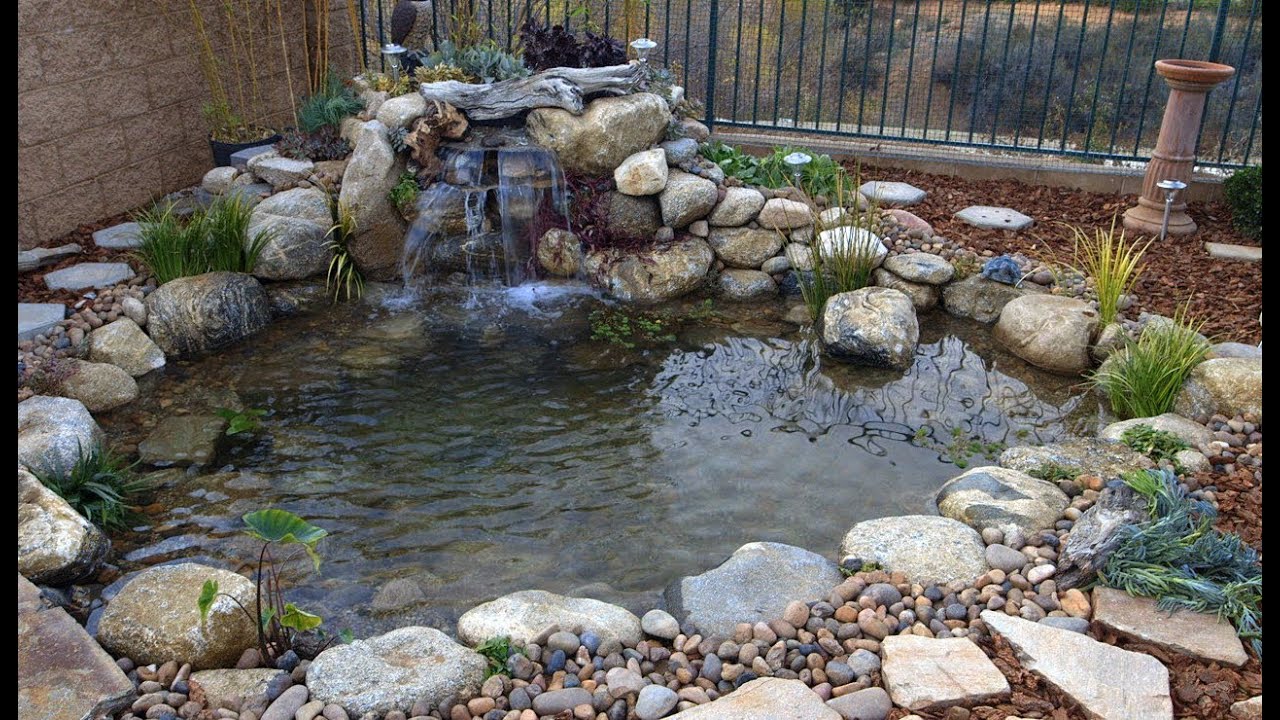Backyard Pond