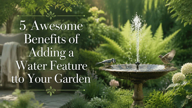 5 Awesome Benefits of Adding a Water Feature to Your Garden