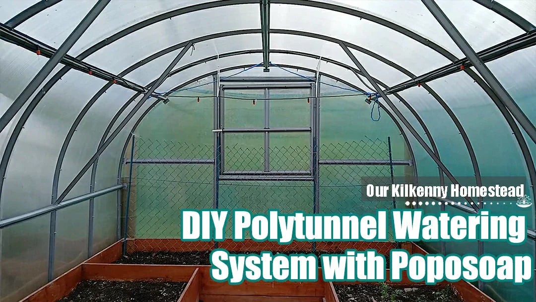 DIY Polytunnel Watering System with Poposoap Solar Powered Filter Pump