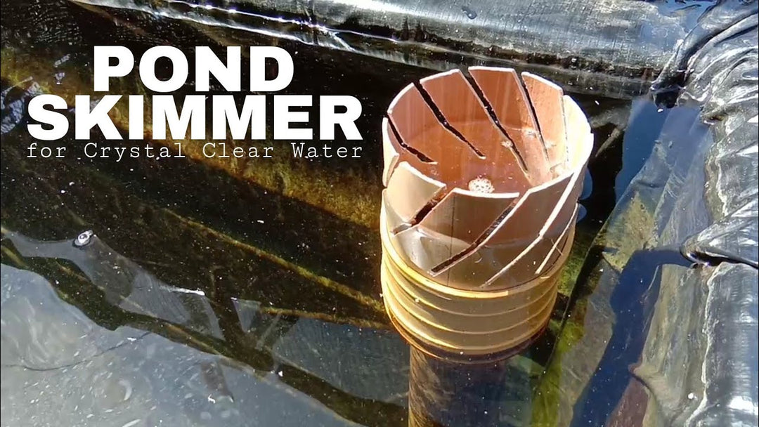 DIY Pond Skimmer: Easy, Affordable & Effective Build Guide