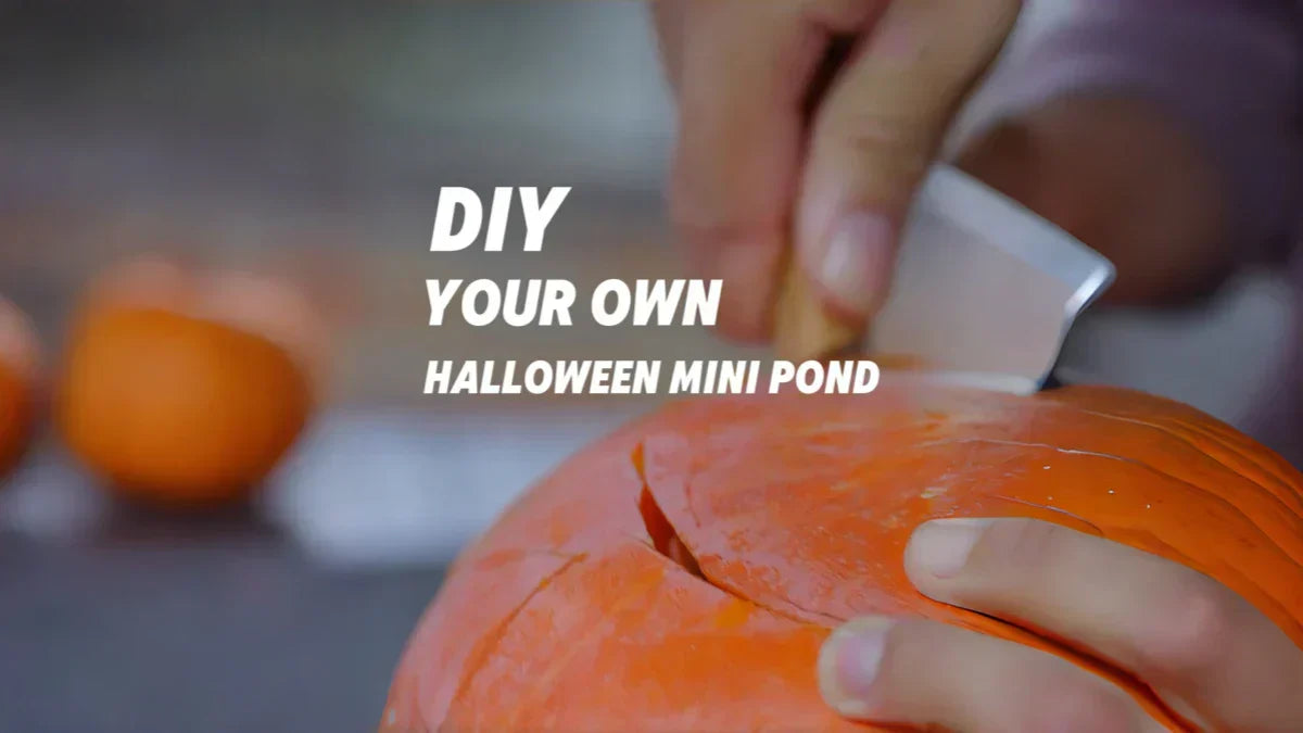 Decorate Your Fountain for the Holidays