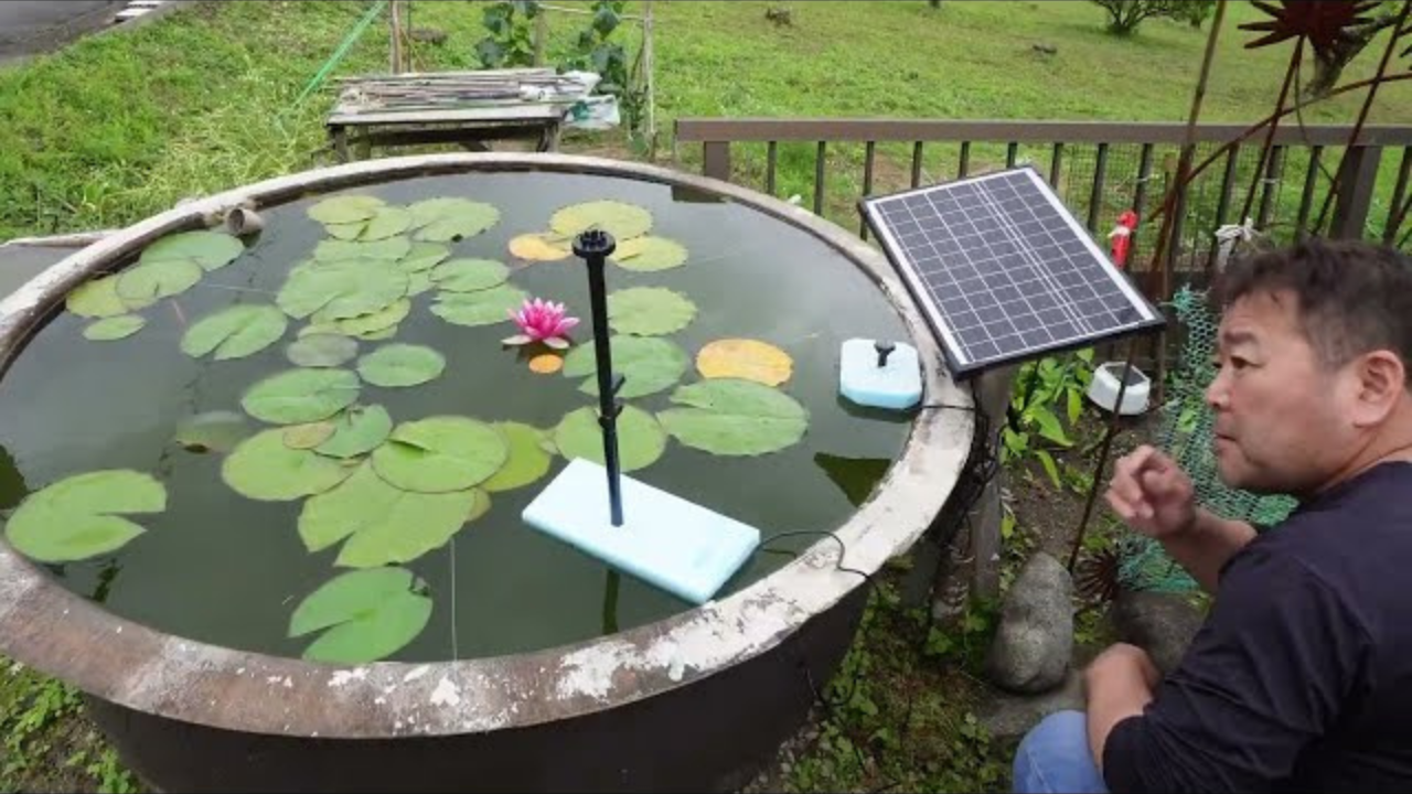 Enhancing Pond Ecosystems: Poposoap's Guide to Mechanical Tools