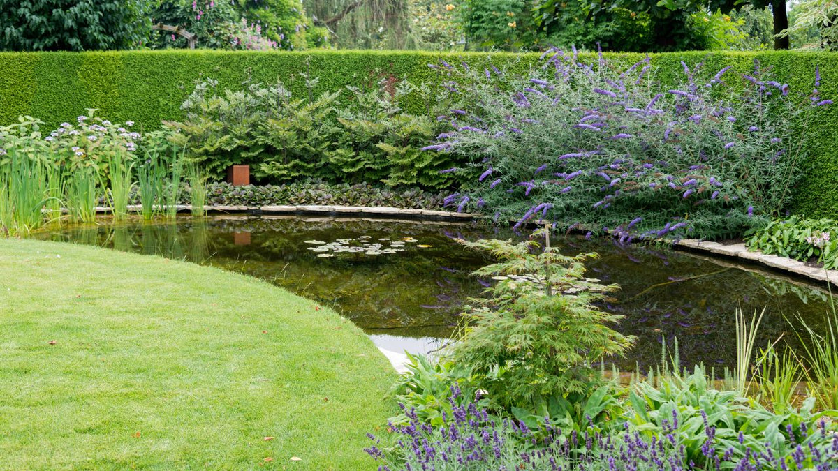 Recycled Pond Border Ideas | Eco Pond Design with Upcycled Style