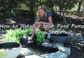 How to Install a Solar Pond Pump in 3 Easy Steps