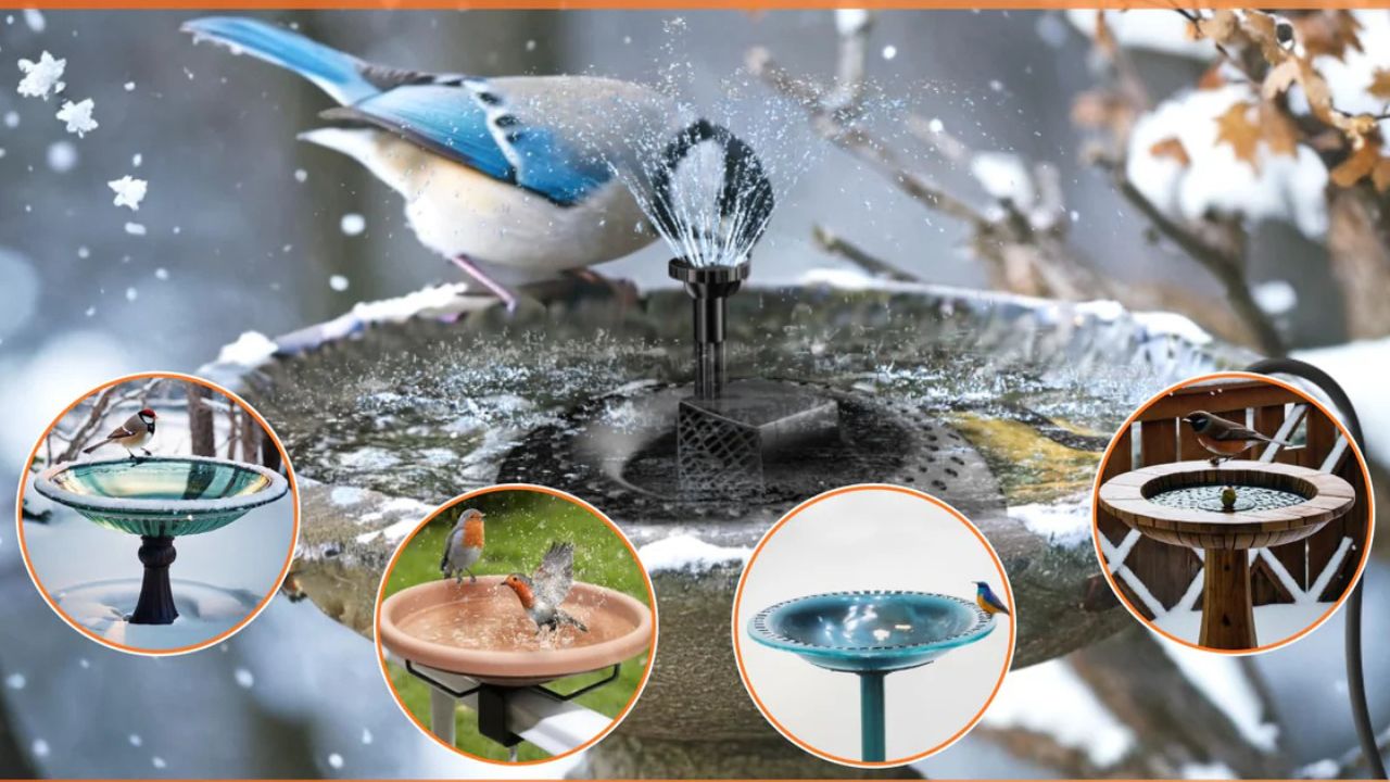 How to Protect Your Poposoap Solar Bird Bath Fountain in Winter