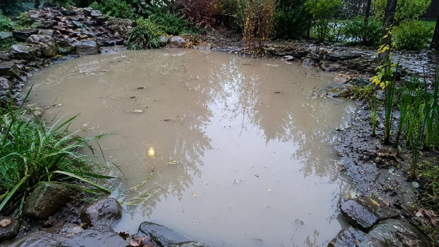 April Showers & Muddy Ponds: How to Restore Water Clarity After Heavy Rain