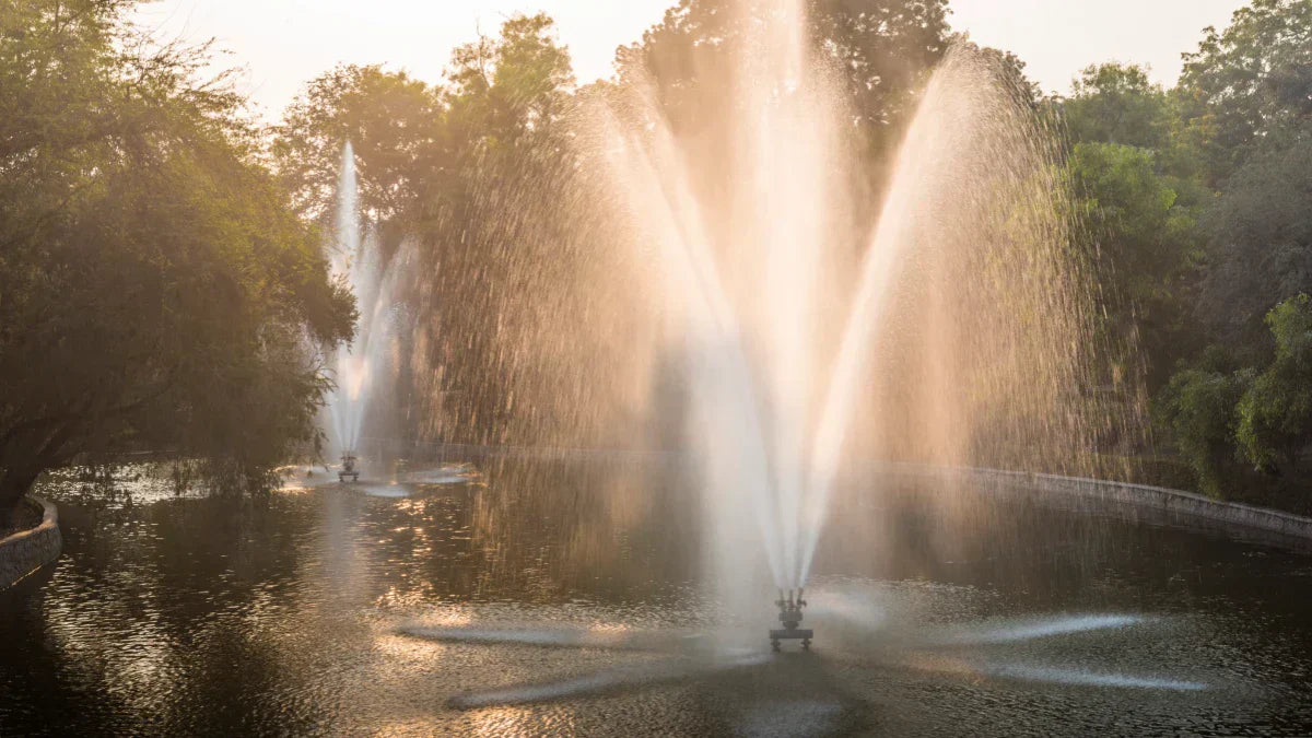 Is Your Pond Fountain Too Powerful for Birds