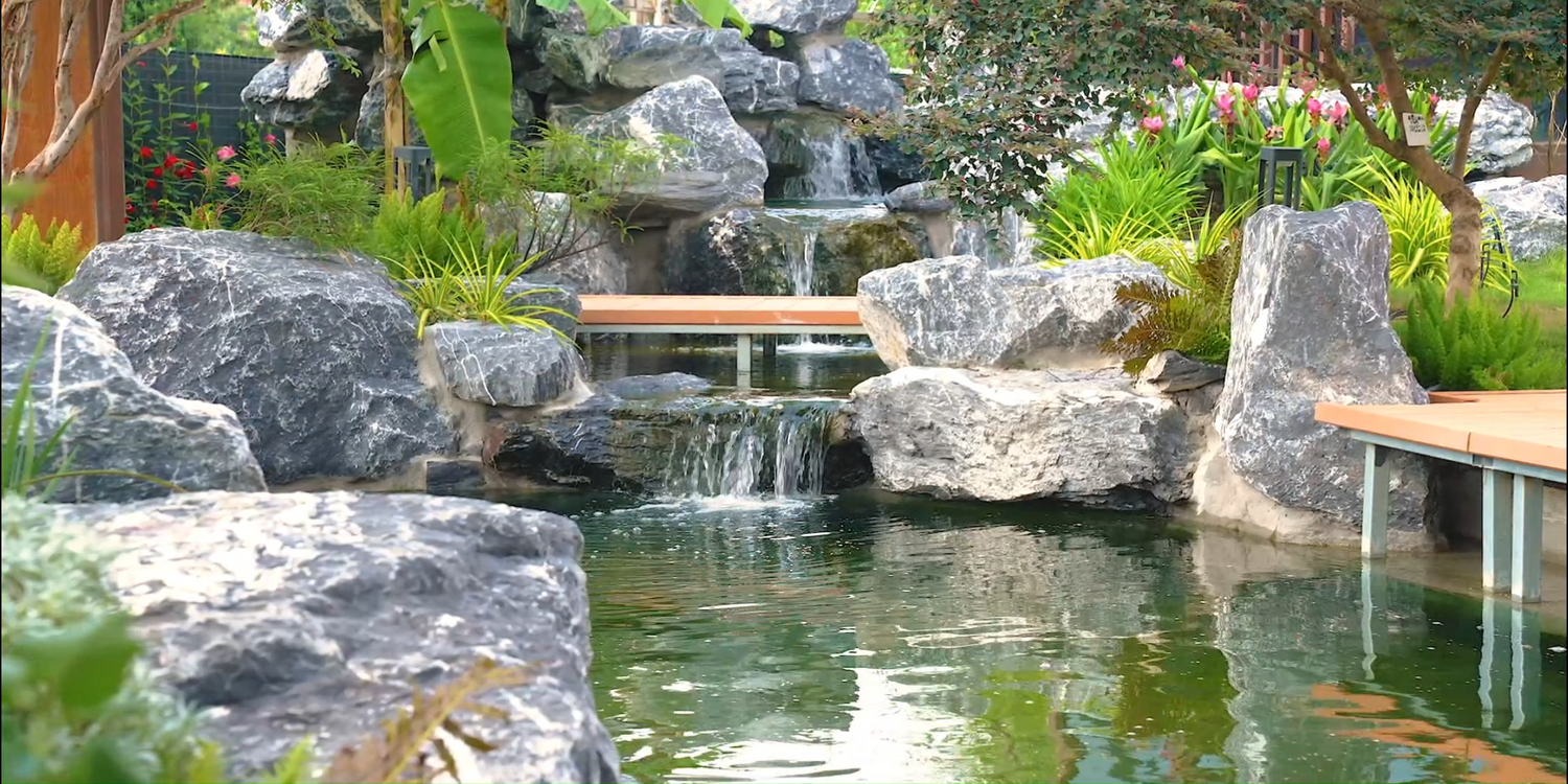 10 Professional Planting Water Plants in a Pond Ideas