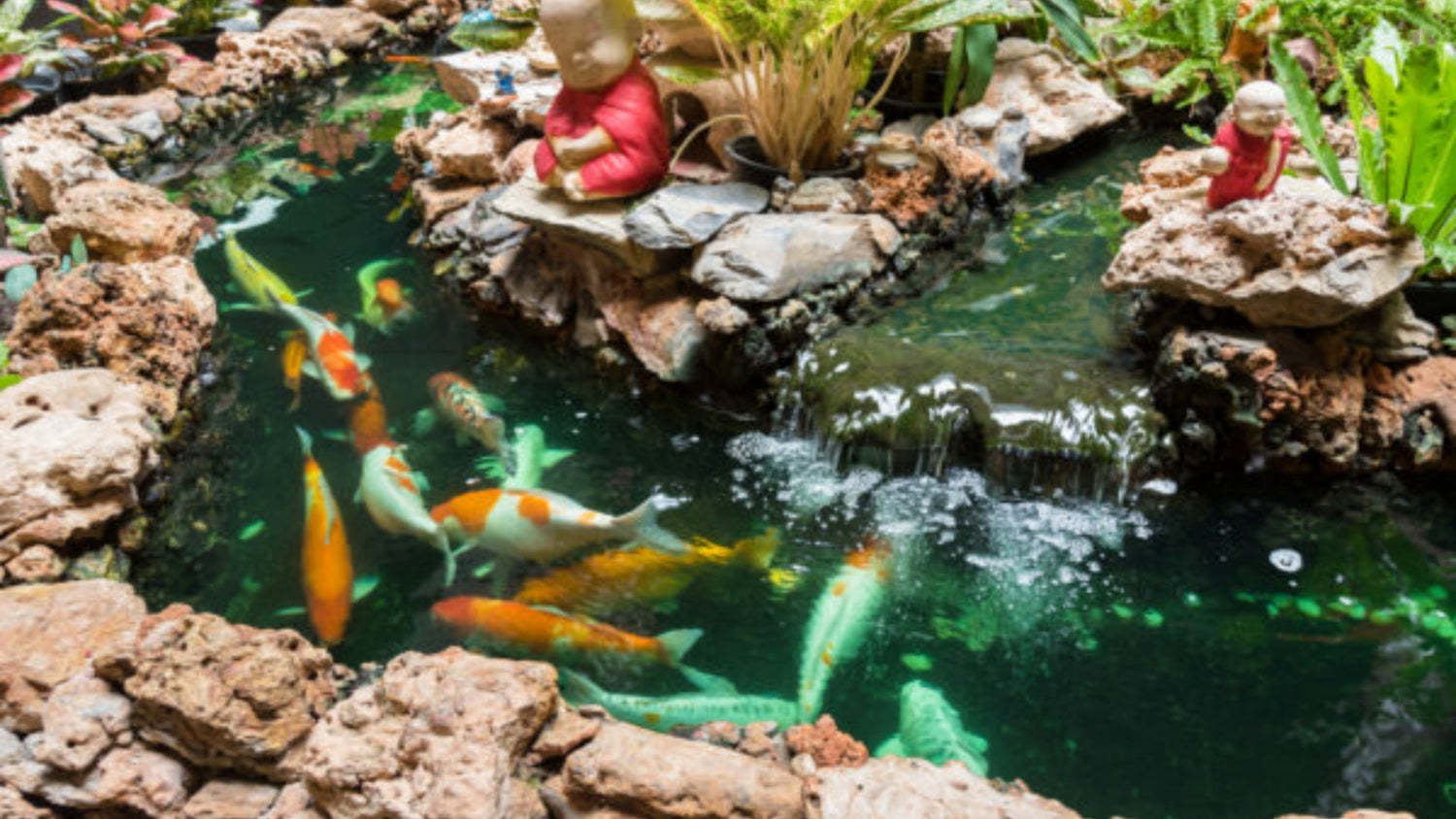 Koi Pond Patterns with Shapes: Inspiring Designs for Your Garden