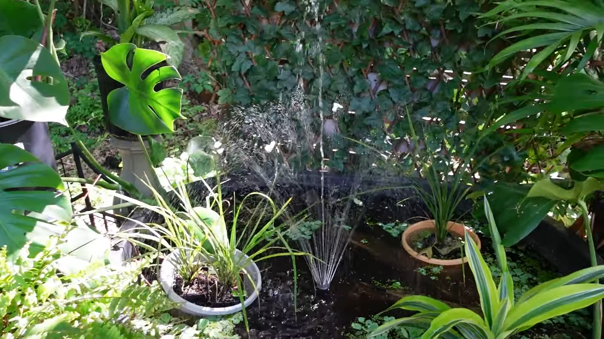 How to Set Up a Fish Pond Fountain Pump: A Step-by-Step Guide