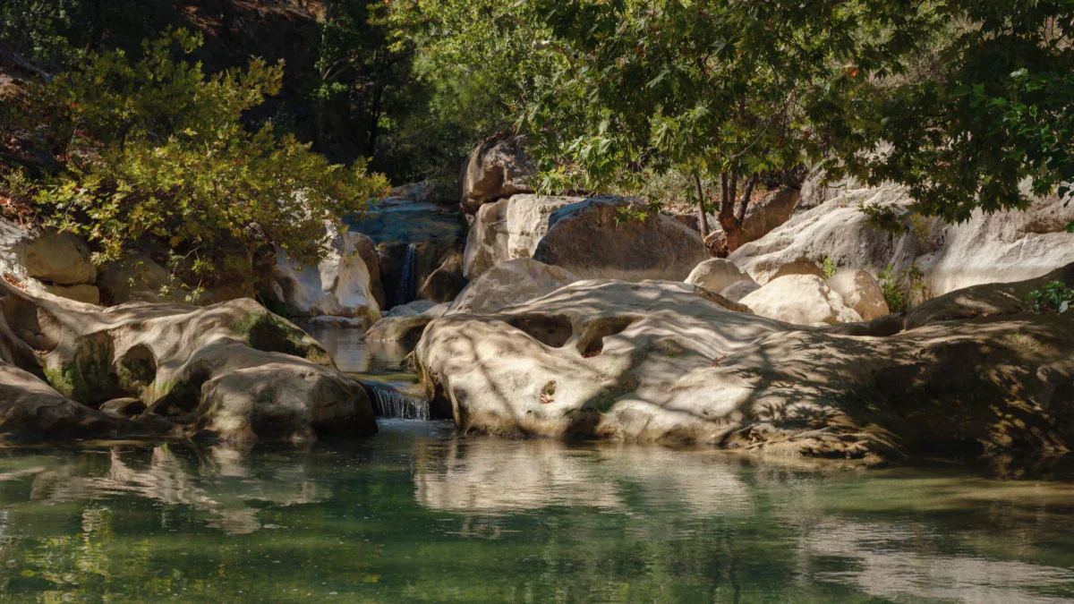 Multi-Level Pond for Waterfalls