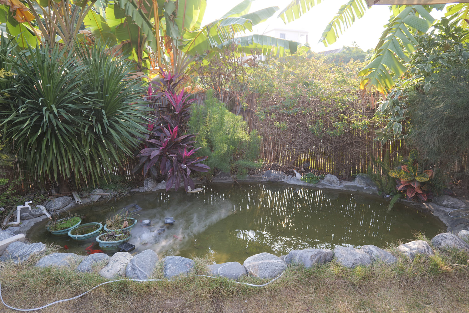 Aquatic Gardening: Easy Steps to Build a Beautiful Water Garden