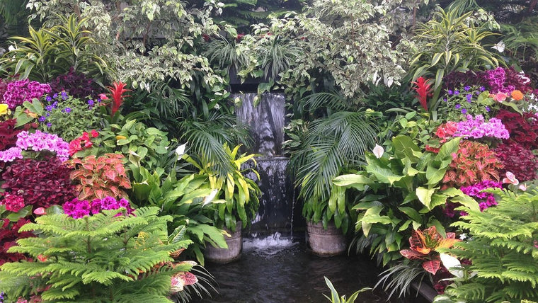Einen Wasserfall ohne offenen Teich bauen