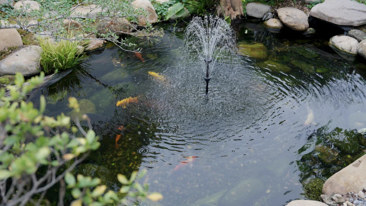 Quand faut-il changer le matériau filtrant du filtre de bassin ?